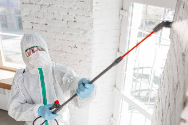 Best Mold Documentation for Insurance Claims  in Wells, MN