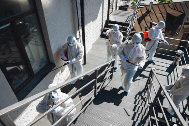 Best Asbestos and Lead Testing During Mold Inspection  in Wells, MN
