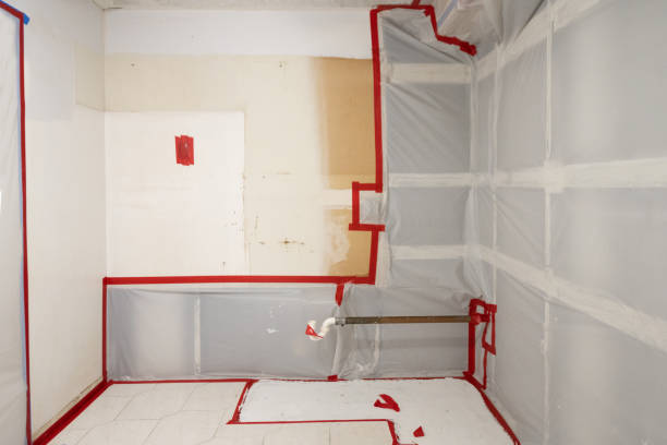 Best Comprehensive Air Testing for Mold Contaminants  in Wells, MN