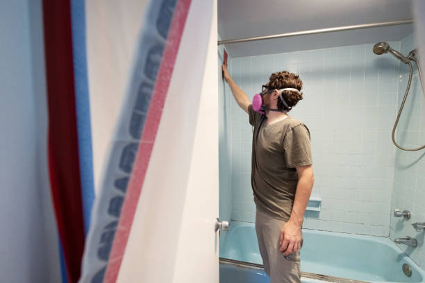 Environmental Consulting for Mold Prevention in Wells, MN