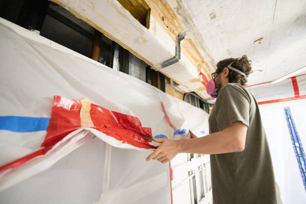 Best Water Damage & Mold Remediation  in Wells, MN