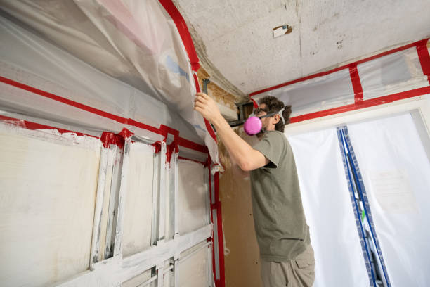 Best Water Damage & Mold Remediation  in Wells, MN