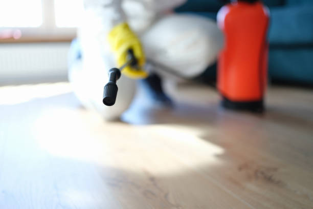 Mold Documentation for Insurance Claims in Wells, MN