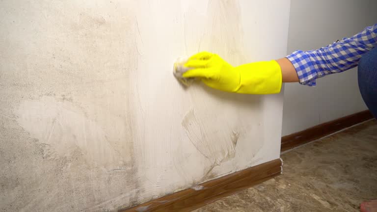 Best Airborne Mold Testing  in Wells, MN
