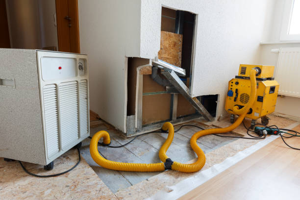 Best Biohazard Mold Removal  in Wells, MN