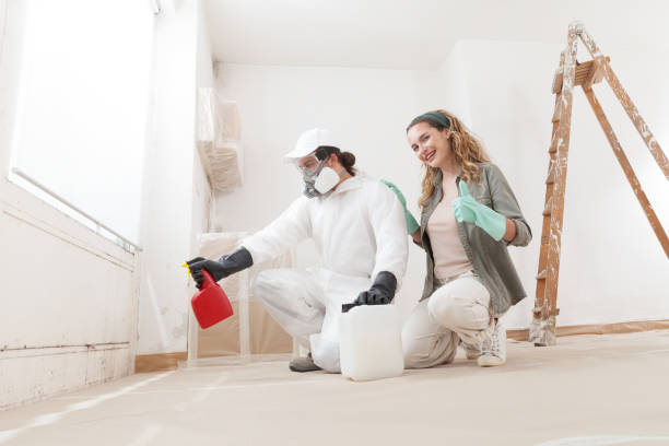 Best HVAC Mold Inspection and Cleaning  in Wells, MN