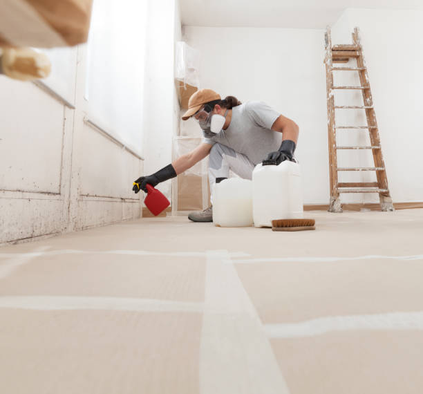 Best Post-Remediation Verification Testing  in Wells, MN